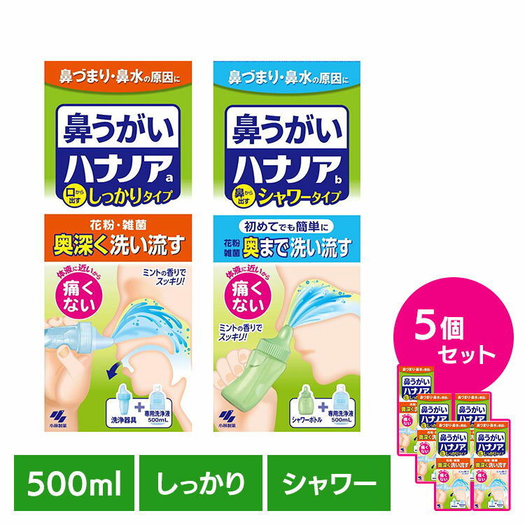 《全品P3倍★25日限定》【5個セット】鼻うがい 鼻洗浄 花粉 ハナノア 500mL 鼻うがい 鼻洗浄 花粉 ハナノア 鼻づまり 鼻水 雑菌 洗浄 小林製薬 コバヤシセイヤク こばやしせいやく 小林製薬 鼻から出すシャワータイプ 口から出すしっかりタイプ
