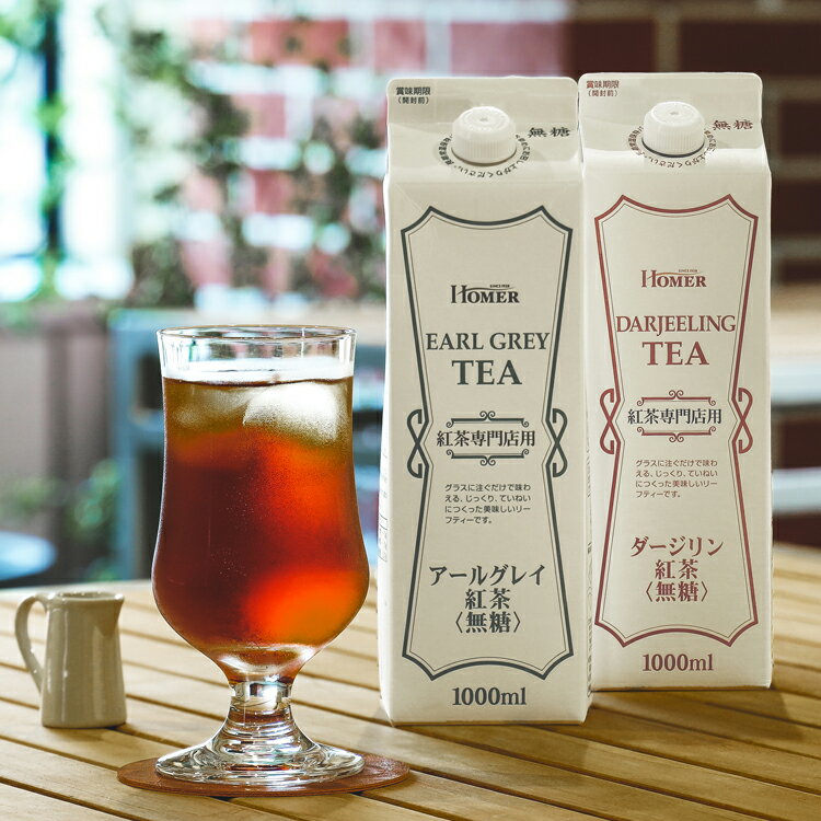 ティー 紙パック お茶飲料 HOMER 紅茶 無糖GT 1000ml×12本 491244 491243 ストレートティー ホーマー 紅茶専門店用 フレーバーティー 香り ほーまー 大容量 まとめ買い 1L 業務用 キャップ付き UCC アールグレイ ダージリン