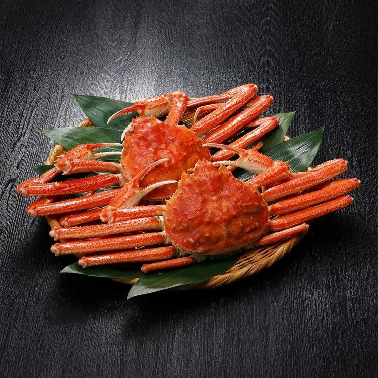 北海道産 ボイルおおずわいがに姿1kg（2尾・3尾） 3167かに ボイル 北海道 姿 1kg ボリューム 【TD】 【代引不可】 k-kitchen-10144698 調理器具専門店 i-cook サンプル画像3