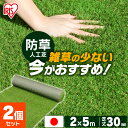 【2枚セット】人工芝 ロール 2m×5m 芝丈30mm RP-3025 国産 リアル人工芝 防草人工芝 防草 雑草対策 雑草防止 国産人工芝 人工芝生 人工芝マ...