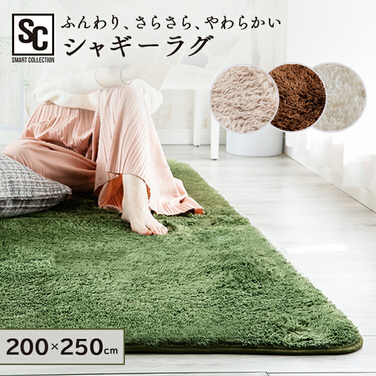 シャギーラグ - ラグ ラグマット ラグカーペット おしゃれ シャギーラグ 200×250 センターラグ ダイニングラグ マット 床暖房対応 ホットカーペット対応 滑り止め 絨毯 3畳 厚手 長方形 オールシーズン 冬用 冬 送料無料