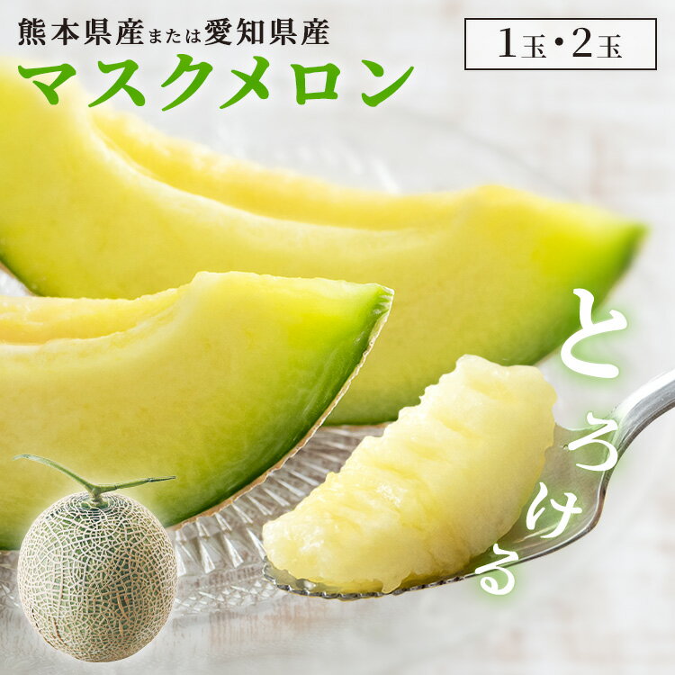 メロン マスクメロン 1玉 2玉 AF-MM1.3 果物 甘い 贈答 【TD】 【代引不可】
