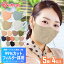 ޥ Կۥޥ Ω 顼ޥ 쿧ޥ Կ ꥹ 103 DAILY FIT MASK Ω ޥ  ʴ 륹  Ҥ ǥ꡼ޥ MASK 顼 Կ ꥹ