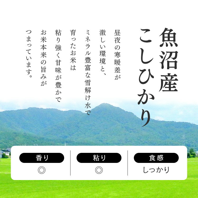 低温製法米のおいしいごはん 魚沼産こしひかり 150g×3食パック パック米 パックご飯 パックごはん レトルトごはん ご飯 国産米 アイリスフーズ