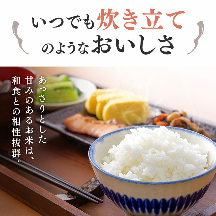 低温製法米のおいしいごはん 秋田県産あきたこまち 180g×60パック 角型 送料無料 ...