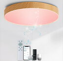 Taiguraz LED 音楽シーリングランプ 木目調 WiFi接続 Amazon Alexa対応 音声/APP制御 内蔵のBluetoothスピーカー RGBライト変換 調光調色 リモコン付き