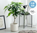 完成品 光触媒人工観葉植物 パキラ 新築祝い プレゼント 誕生日 パキラ 観葉植物 人工観葉植物 光触媒人工観葉植物 パキラ 事務所 事業所用人工観葉植物 パキ...