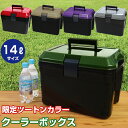 JEJ クーラーボックス 限定カラー 14L