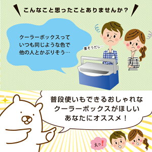 JEJアステージ クーラーボックス ベースランド 7.5L ホワイト 小型 一人用 ホワイト かっこいい おしゃれ クーラーバッグ キャンプ用品 フェス レジャー 海 海水浴 バーベキュー BBQ 便利 釣り通販格安セール情報 楽天 通販