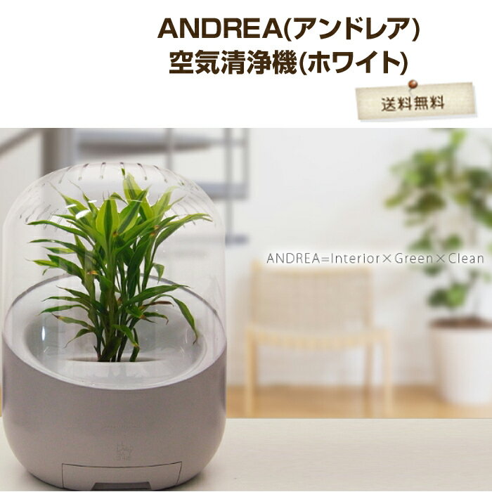 【送料無料】　【リラックス】　Andorea/アンドレア 　 空気清浄機 （フィルター交換なし）