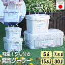発泡クーラー クーラーボックス 5L 7.5L 15.5L 30L 簡易保冷 発泡スチロール グレー コンパクト 小型 一人用 ミニ かわいい かっこいい おし...