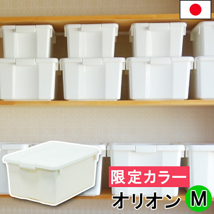 JEJ 限定カラー　オリオン M　日本製　収納ボックス　フタ付き　シンプル　白　ホワイト　おしゃれ　オシャレ　小物 中が透けない