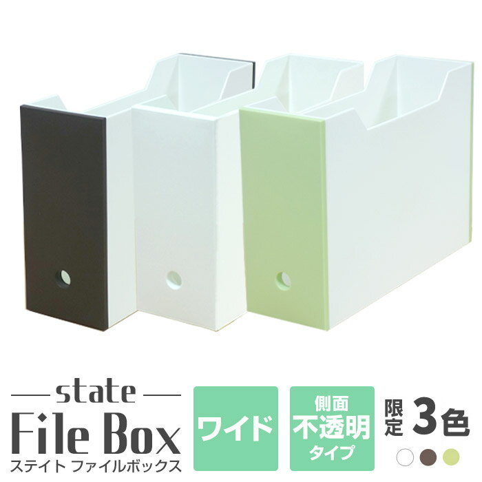 JEJ 限定カラー ステイト ファイルボックスワイド 中が透けない a4 収納ボックス ファイル収納 書類収納 ステーショ…