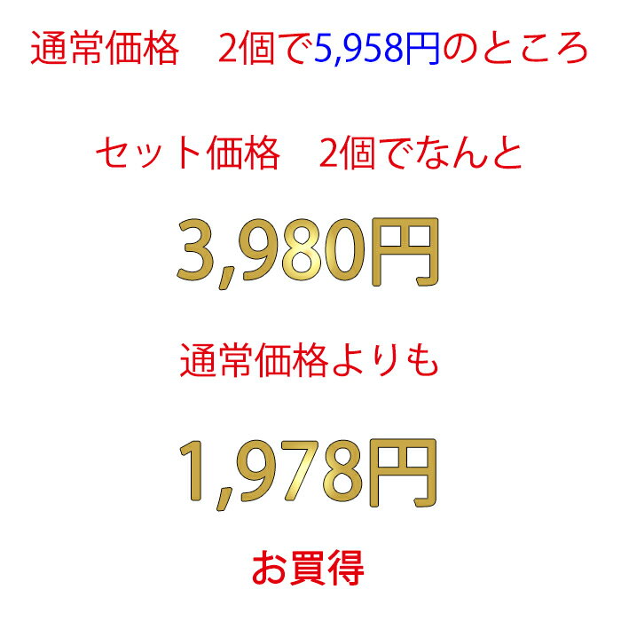 JEJ ベッド下収納ボックス【同色2個セット】【送料無料】ベッド下 収納ケース キャスター 幅39cm 奥行80cm 高さ16.5cm 薄型 布団収納 ベッド下収納箱 衣装ケース コミック収納 漫画収納