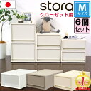 【セット特価】JEJ ストラ クローゼット用 M 奥行53cm 高さ22cm ホワイト ≪同色6個セット≫【送料無料】(3)