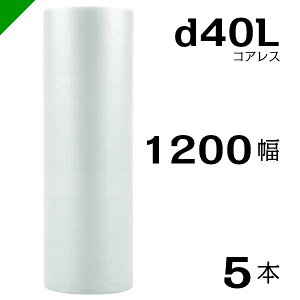 ץץ d40L  쥹 1200mm42M 5 ̵  ˾׺  פפ  å ѥå å  ȯ    建 