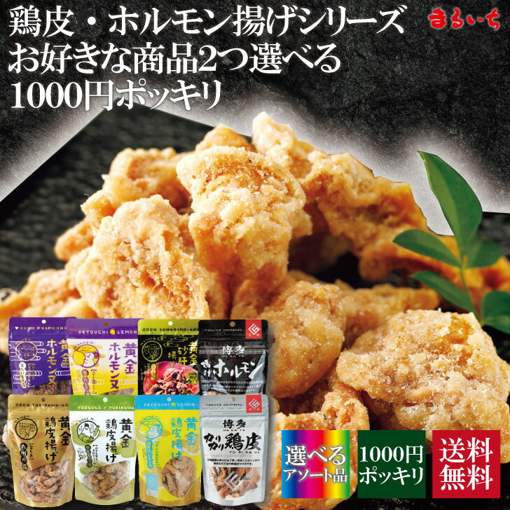 【2種選べる鶏皮アソートパック】【送料無料1000円ポッキリ】鶏皮 鶏皮チップス 鶏皮スナック せんじ肉 せんじがら カリカリ パリパリ サクサク おつまみ お酒の肴て 菓子 ビールに合う 新食感 クセになる