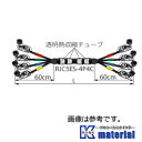 JidC CANARE LANP[u(}`) 4ETCS-30-T 30m [CNR003448]