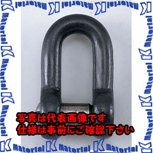 樂天商城 - 【P】【代引不可】【個人宅配送不可】ESCO(エスコ) 6.2Ton 沈ミシャックル EA638NR-9 [ZES076347]