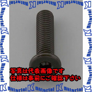 樂天商城 - 【P】【代引不可】【個人宅配送不可】ESCO(エスコ) M5 x 8mm 六角穴付ボルト EA949MG-508A [ZES082184]