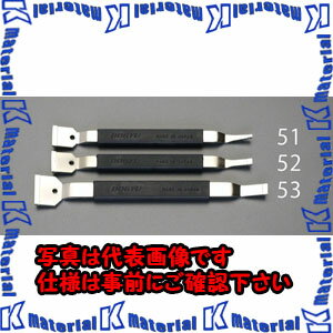 【P】【代引不可】【個人宅配送不可】ESCO（エスコ）　11mmx31mm　ダブルスクレーパー(超硬付)　EA524LM-53[ESC021288]