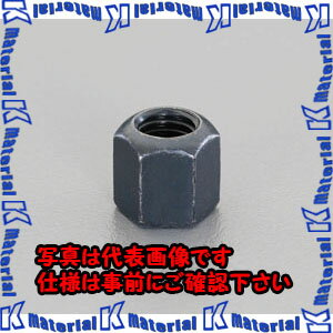 樂天商城 - 【代引不可】【個人宅配送不可】ESCO(エスコ) M22 六角ナット EA637GM-22 [ZES028998]