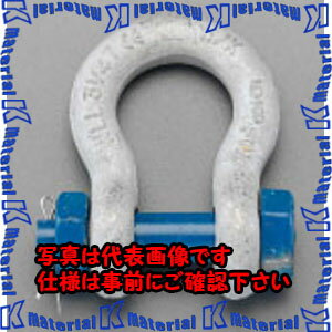 樂天商城 - 【P】【代引不可】【個人宅配送不可】ESCO(エスコ) 1.0 ton 強力型シャックル EA638ND-3 [ZES030277]