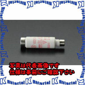 ������ԲġۡڸĿ��������Բġ�ESCO(������) 3A �ҥ塼�����(AC/DC600V) EA758ZU-3 [ZES036009]