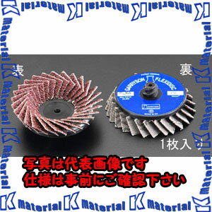 【代引不可】【個人宅配送不可】ESCO(エスコ) 120/50mm フレックスディスク(鉄用) EA819KV-14 ZES041506