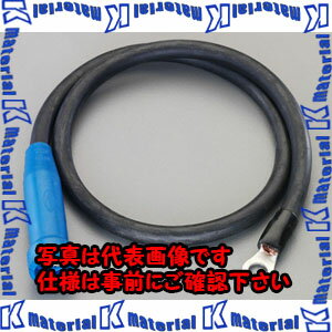 樂天商城 - 【代引不可】【個人宅配送不可】ESCO（エスコ）　150-220A/1m　溶接機用接続アダプター　EA315AN-3[ESC007269]