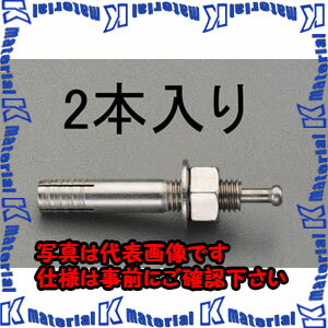乐天商城 - 【代引不可】【個人宅配送不可】ESCO(エスコ) M16x120mm 雄ねじアンカー(ステンレス製/2本) EA945BC-162 [ZES054313]
