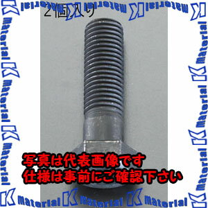 【代引不可】【個人宅配送不可】ESCO(エスコ) M12x 40mm [ISO-10.9]六角頭ボルト(2本) EA949HD-1204 [ZES057942]