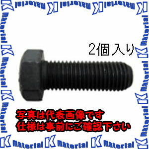 乐天商城 - 【代引不可】【個人宅配送不可】ESCO(エスコ) M22x 55mm [ISO-10.9]六角頭ボルト(2本) EA949HD-2203 [ZES057998]