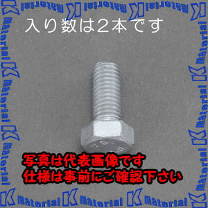 【P】【代引不可】【個人宅配送不可】ESCO(エスコ) M20x 70mm 六角ボルト(どぶメッキ/2本) EA949LD-2070 [ZES058759]