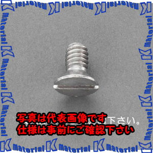 樂天商城 - 【P】【代引不可】【個人宅配送不可】ESCO(エスコ) W1/4 x20mm 皿頭小ねじ(ステンレス/ 8本) EA949NB-108A [ZES059700]