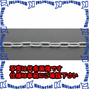 Rakuten - 【代引不可】【個人宅配送不可】ESCO(エスコ) 5.5mmx10m リンクチェーン(スチール製/ドブメッキ) EA980SF-63 [ZES067350]