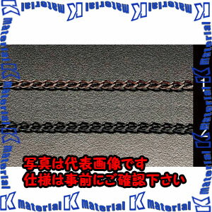 【代引不可】【個人宅配送不可】ESCO(エスコ) 2.0mmx15m チェーン(カラースチール製/黒) EA980SK-2 [ZES067381]
