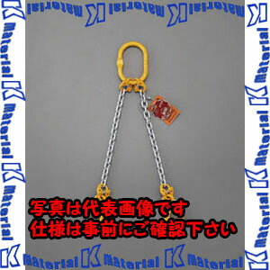 樂天商城 - 【P】【代引不可】【個人宅配送不可】ESCO(エスコ) 1.7tonx1.5m スリングチェーン(2本懸け) EA981VD-21A [ZES067819]