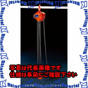 Rakuten - 【P】【代引不可】【個人宅配送不可】ESCO(エスコ) 2.0tonx5.0m チェーンブロック EA987CM-5 [ZES070728]
