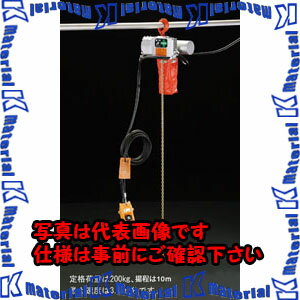 【代引不可】【個人宅配送不可】ESCO(エスコ) 200kgx10m 電動チェーンブロック EA9...