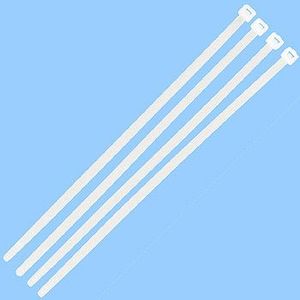 ��P�ۥ����ȥ� AB-300(��)1��/100�� [33420]