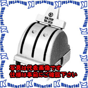 PۡԲġۡڸĿԲġ۲¼ʥ Сå CS-DT CS 3P15A DT[KWM009396]