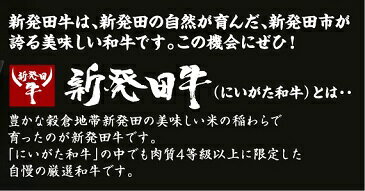えのちゃんのビーフカレー【中辛】4袋