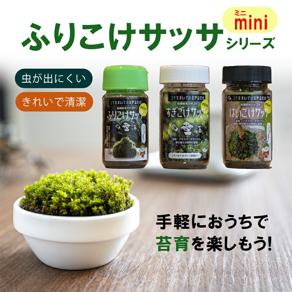 mini ふりこけサッサ スナゴケ スギゴケ ハイゴケ 苔 コケ こけ ガーデニング コケ玉 ミニ盆栽 観賞用 苔 テラリウム 盆栽 苔玉 修復 ジオラマ 国内製造 プレゼント