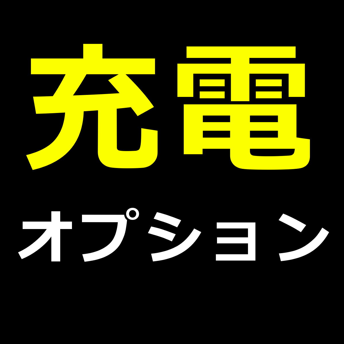 充電オプション 18650 充電式リチウムイオン電池×2/充電ケーブル×1/