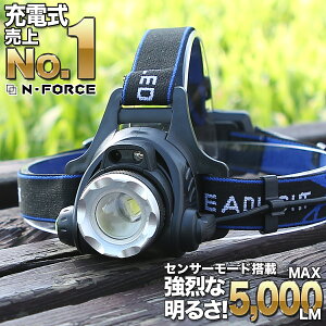 【充電式で売上No.1】ヘッドライト 充電式ヘッドライト センサー点灯 電池付属 ヘッドランプ LED 釣り 登山 アウトドア 作業灯