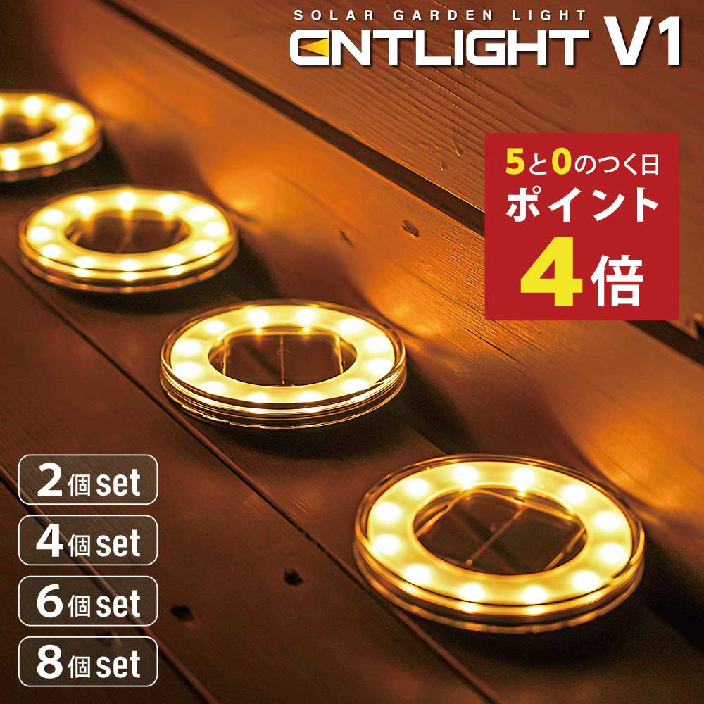 【ポイント4倍】新発売 [ENTLIGHT] V1 