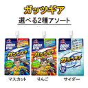 送料無料 EAA 3kg（500g×6） 国産 無添加無加工 コスパ最強 必須アミノ酸 筋トレ バルクアップ アンチカタボリック トレーニング(FC11×6)