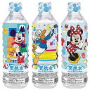 ブルボン　ディズニー天然水　500ml×24本