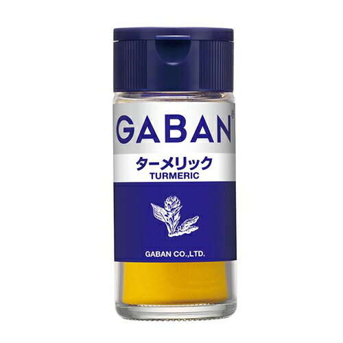 ハウス食品　GABAN　ギャバン　ターメリック　18g　5×6個　合計30個